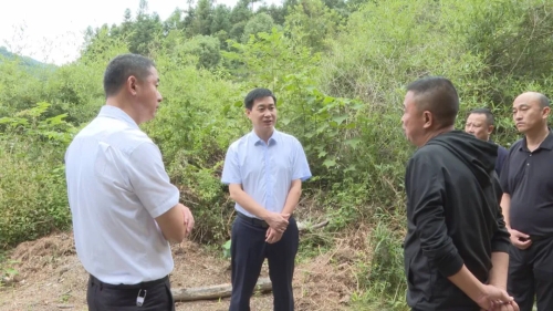 艾志峰開展巡林督導(dǎo)工作